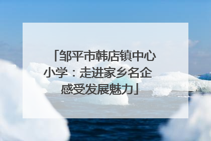 邹平市韩店镇中心小学：走进家乡名企 感受发展魅力