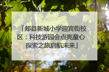 郏县新城小学迎宾街校区：科技游园会点亮童心 探索之旅启航未来
