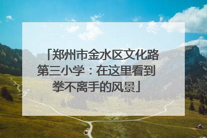 郑州市金水区文化路第三小学：在这里看到拳不离手的风景