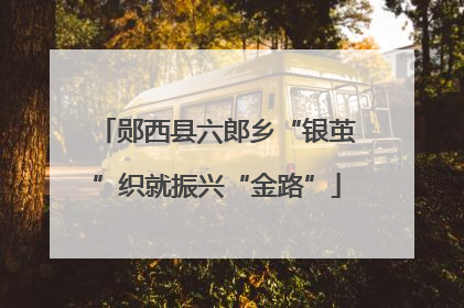 郧西县六郎乡“银茧”织就振兴“金路”