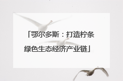 鄂尔多斯：打造柠条绿色生态经济产业链