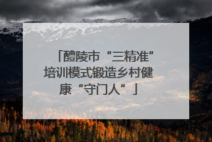 醴陵市“三精准”培训模式锻造乡村健康“守门人”