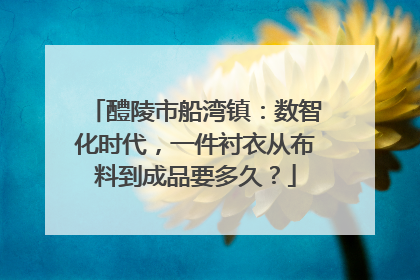 醴陵市船湾镇：数智化时代，一件衬衣从布料到成品要多久？