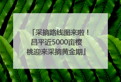 采摘路线图来啦！昌平近5000亩樱桃迎来采摘黄金期