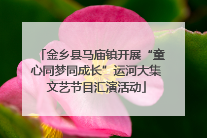金乡县马庙镇开展“童心同梦同成长”运河大集文艺节目汇演活动