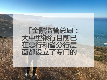 金融监管总局：大中型银行目前已在总行和省分行层面都设立了专门的科技金融部门