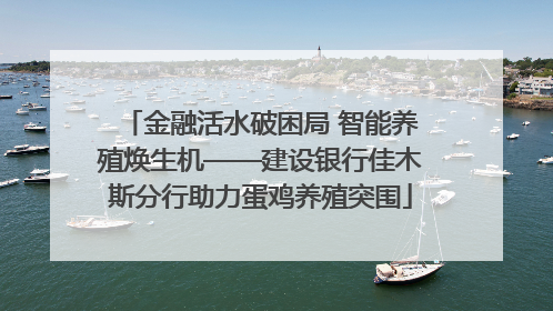 金融活水破困局 智能养殖焕生机——建设银行佳木斯分行助力蛋鸡养殖突围