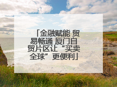 金融赋能 贸易畅通 厦门自贸片区让“买卖全球”更便利