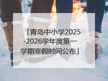 青岛中小学2025-2026学年度第一学期寒假时间公布