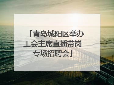 青岛城阳区举办工会主席直播带岗专场招聘会
