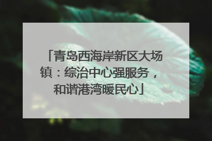 青岛西海岸新区大场镇：综治中心强服务，和谐港湾暖民心