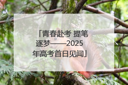 青春赴考 提笔逐梦——2025年高考首日见闻