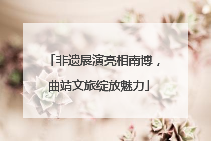 非遗展演亮相南博，曲靖文旅绽放魅力