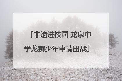 非遗进校园 龙泉中学龙狮少年申请出战