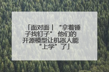 面对面丨“拿着锤子找钉子” 他们的开源模型让机器人能“上学”了