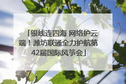 银线连四海 网络护云端！潍坊联通全力护航第42届国际风筝会