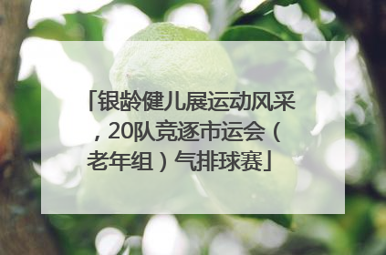 银龄健儿展运动风采，20队竞逐市运会（老年组）气排球赛