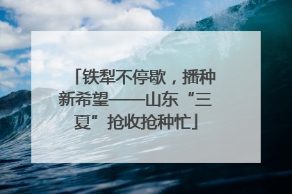 铁犁不停歇，播种新希望——山东“三夏”抢收抢种忙
