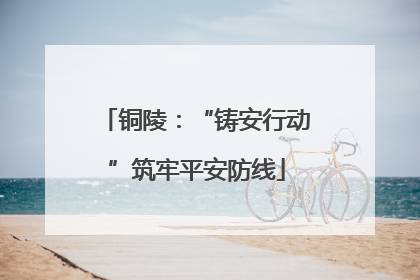 铜陵：“铸安行动”筑牢平安防线