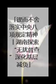 锲而不舍落实中央八项规定精神丨湖南探索“无扰督查”深化基层减负