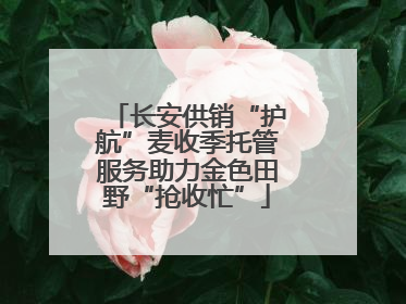 长安供销“护航”麦收季托管服务助力金色田野“抢收忙”