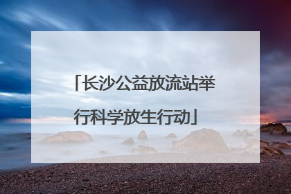 长沙公益放流站举行科学放生行动