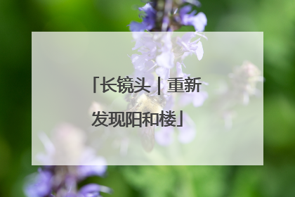 长镜头｜重新发现阳和楼