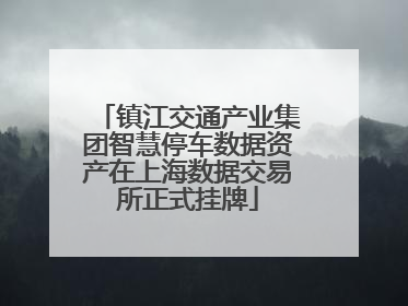 镇江交通产业集团智慧停车数据资产在上海数据交易所正式挂牌