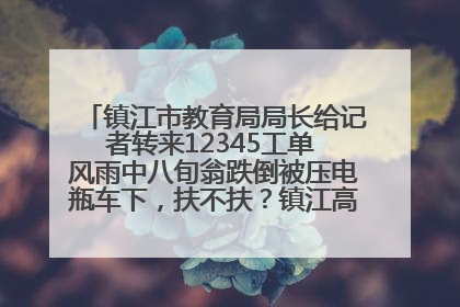 镇江市教育局局长给记者转来12345工单 风雨中八旬翁跌倒被压电瓶车下，扶不扶？镇江高职学子选择令人钦佩