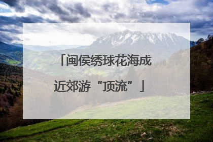 闽侯绣球花海成近郊游“顶流”