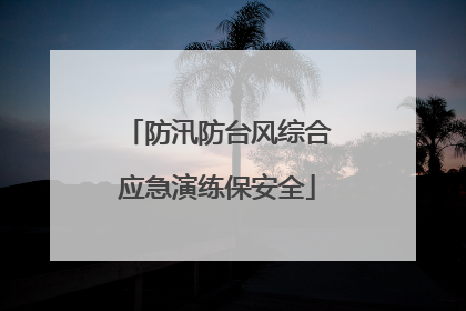 防汛防台风综合应急演练保安全