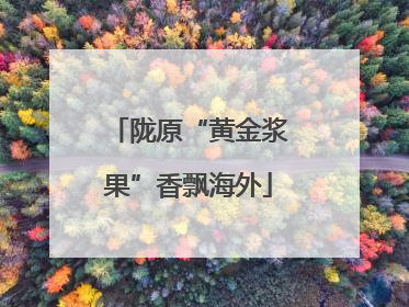 陇原“黄金浆果”香飘海外