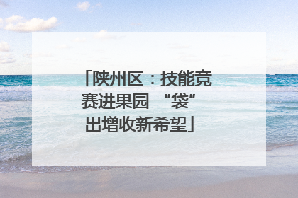 陕州区：技能竞赛进果园 “袋”出增收新希望