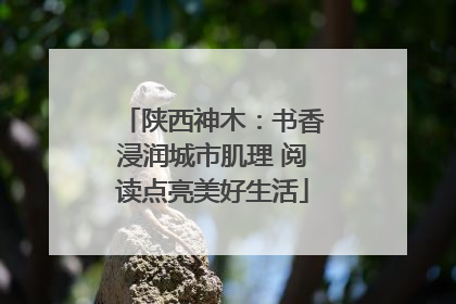 陕西神木：书香浸润城市肌理 阅读点亮美好生活
