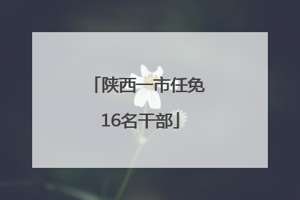 陕西一市任免16名干部