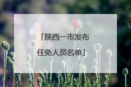 陕西一市发布任免人员名单
