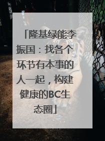 隆基绿能李振国：找各个环节有本事的人一起，构建健康的BC生态圈