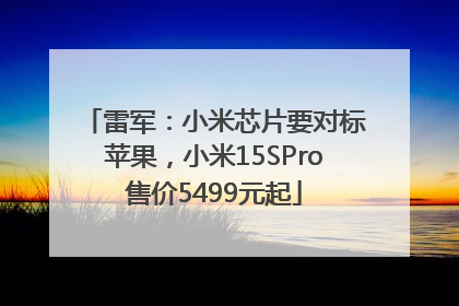 雷军：小米芯片要对标苹果，小米15SPro售价5499元起