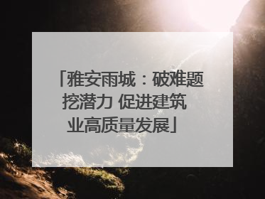 雅安雨城：破难题 挖潜力 促进建筑业高质量发展