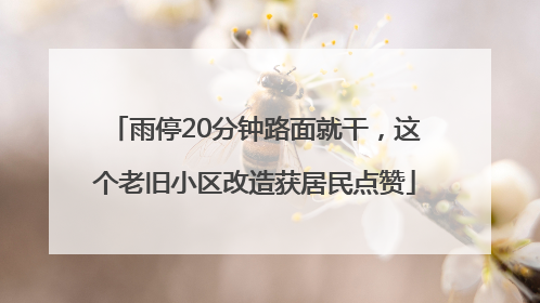 雨停20分钟路面就干，这个老旧小区改造获居民点赞