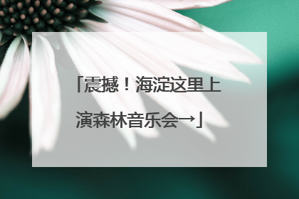 震撼！海淀这里上演森林音乐会→