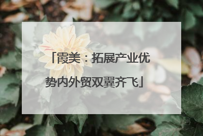 霞美：拓展产业优势内外贸双翼齐飞