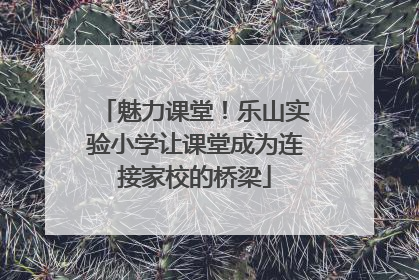 魅力课堂！乐山实验小学让课堂成为连接家校的桥梁