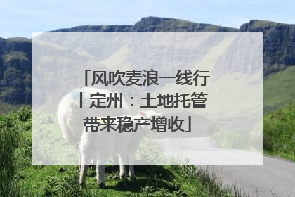 风吹麦浪一线行丨定州：土地托管带来稳产增收