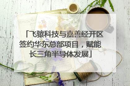 飞骧科技与嘉善经开区签约华东总部项目，赋能长三角半导体发展