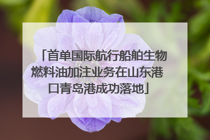 首单国际航行船舶生物燃料油加注业务在山东港口青岛港成功落地