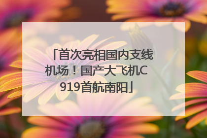 首次亮相国内支线机场！国产大飞机C919首航南阳