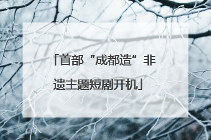 首部“成都造”非遗主题短剧开机
