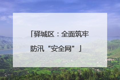 驿城区：全面筑牢防汛“安全网”