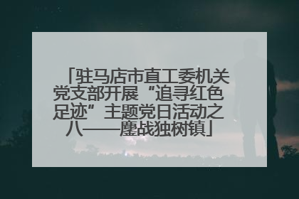 驻马店市直工委机关党支部开展“追寻红色足迹”主题党日活动之八——鏖战独树镇